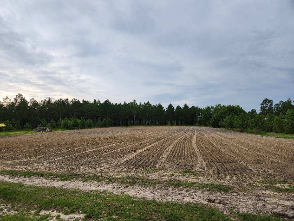 Food Plot Preparation Aerial view of a large-scale land clearing and site preparation project, showcasing professionally graded terrain surrounded by wooded property and rural landscape.